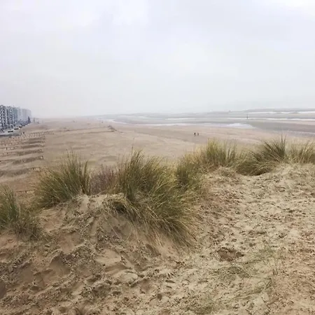 Near De Panne With Sea Views, Cleaning Included Koksijde